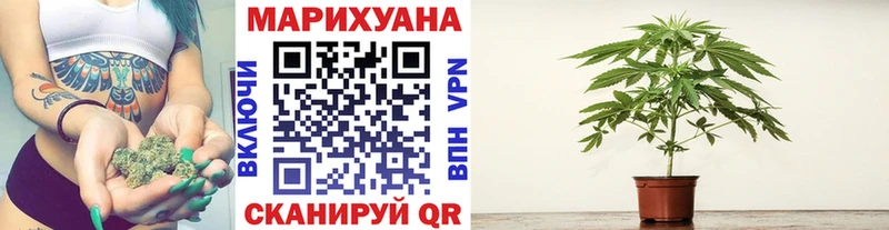 Где купить Махачкала Героин Галлюциногенные грибы МЕФ СК Гашиш