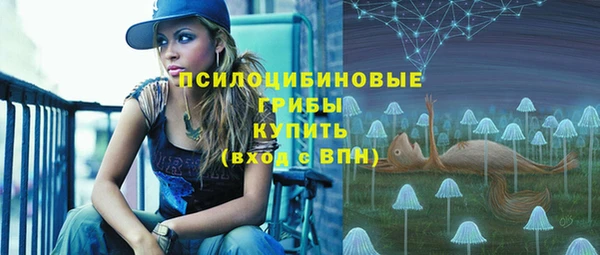 прущий лед Алексеевка