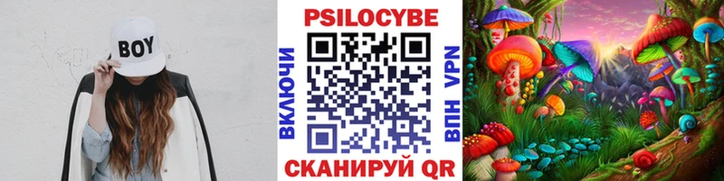 Галлюциногенные грибы Cubensis  Махачкала 